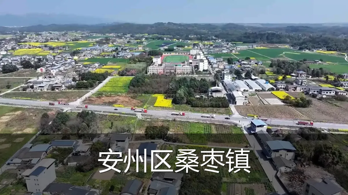 安州区桑枣镇